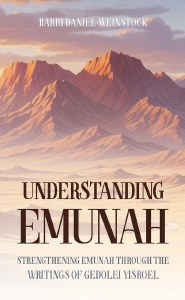 Picture of Understanding Emunah [Hardcover]